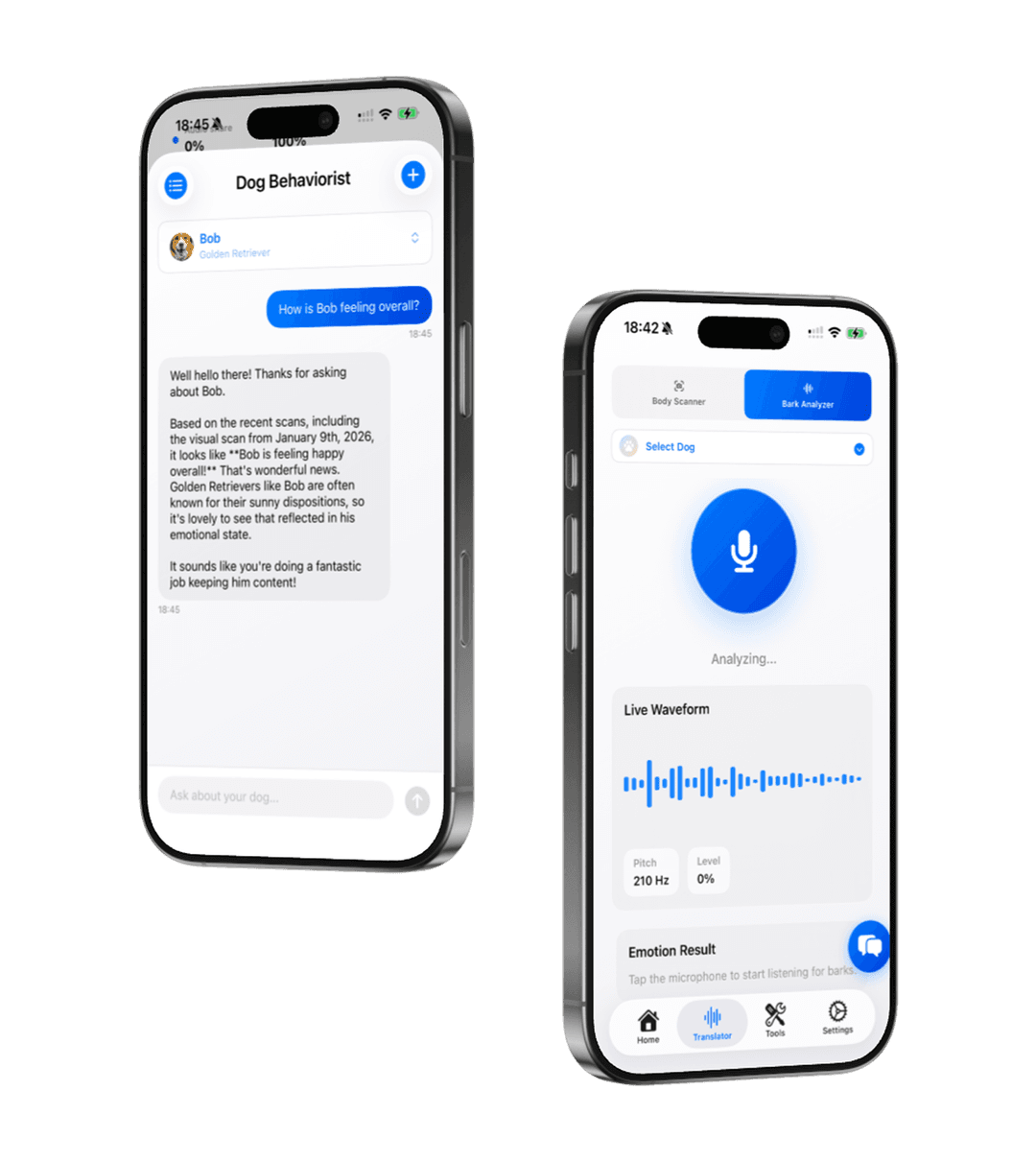 AI Translator & Chat