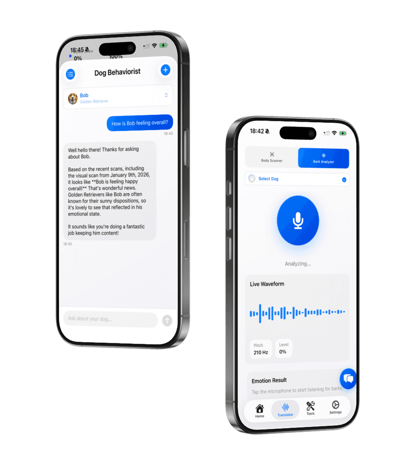 Dogly AI Bark Translator feature